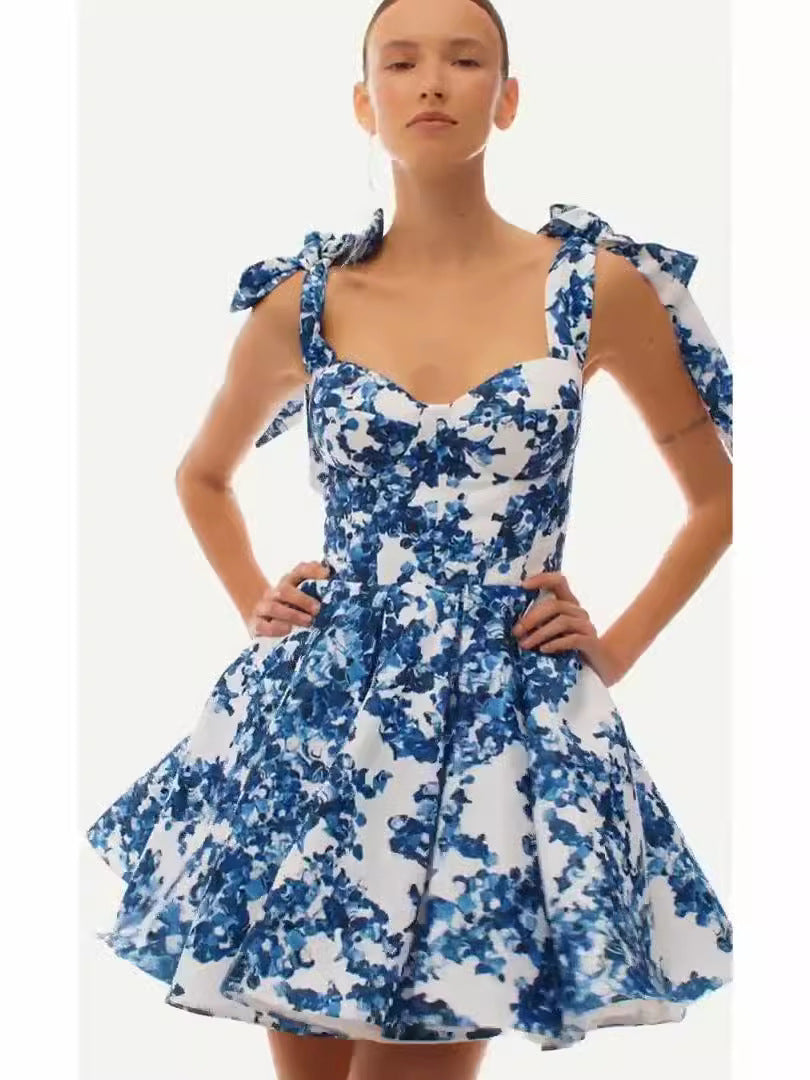 Women's Printed Chiffon A-Line Dress